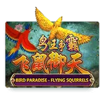 Bird Paradise
