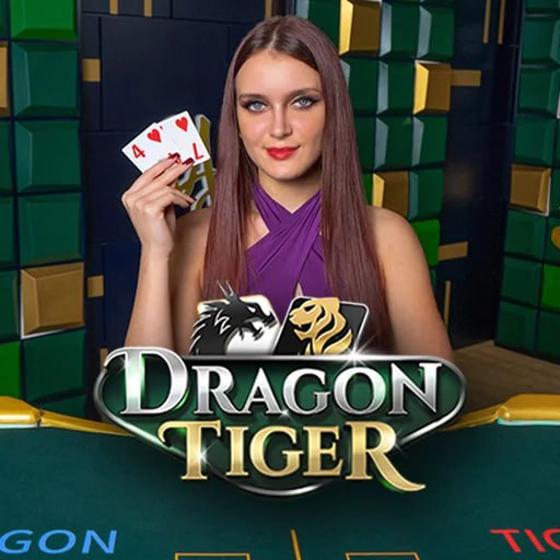D Dragon Tiger