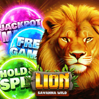 Lion Savanna Wild